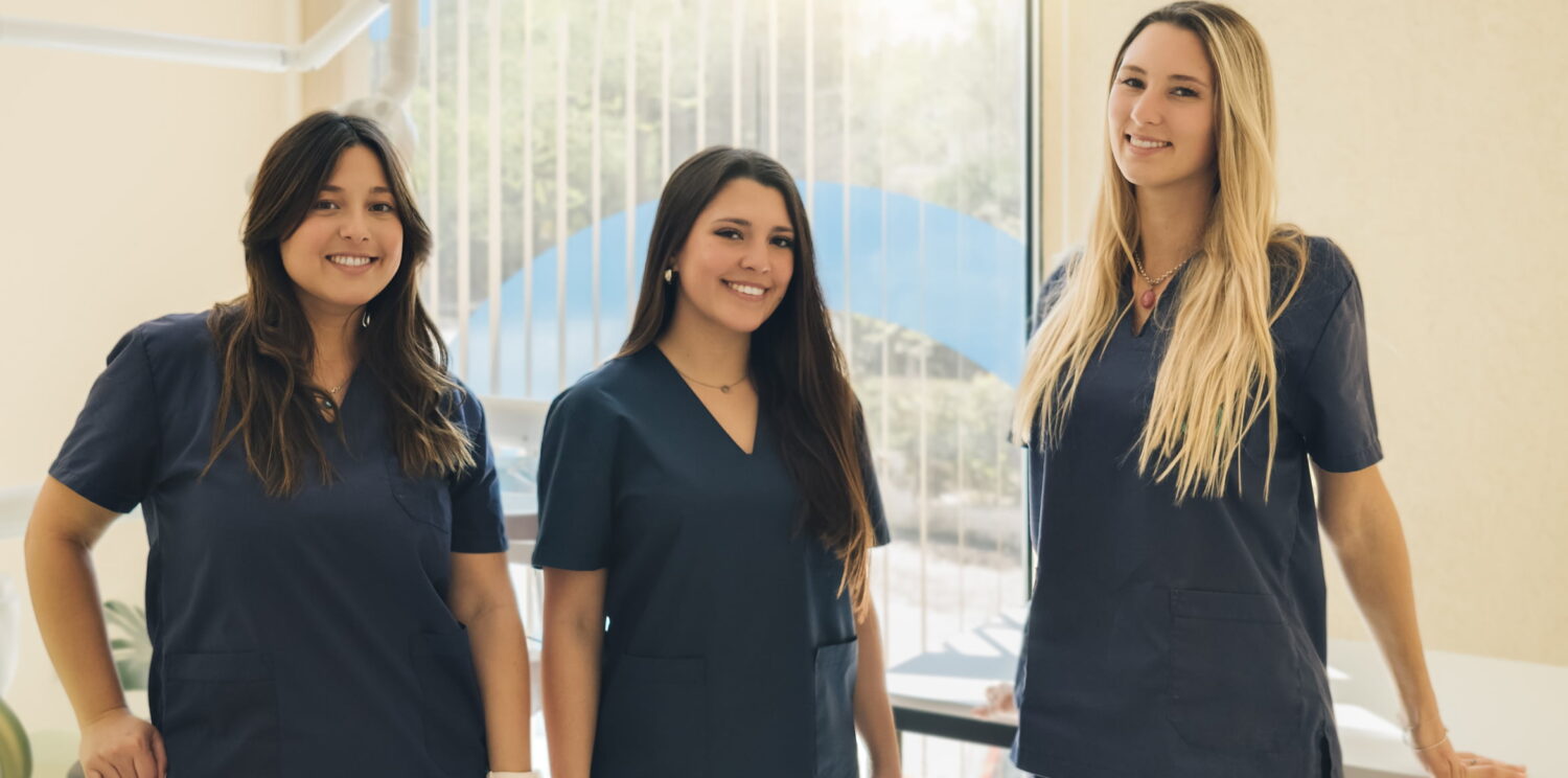 Meet the Team